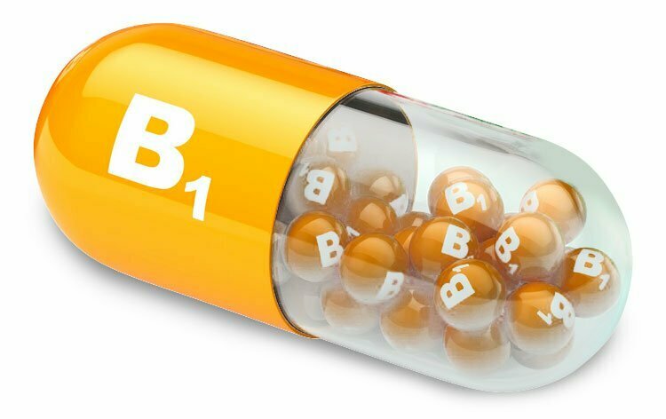 ᐅ ¿Por Qué La Vitamina B1 Es Tan Importante? | IMed Guru